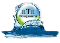 ATA INGENIERIA